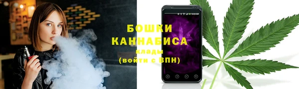 дмт Белокуриха