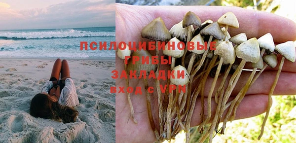 стафф Белоозёрский