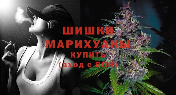 дмт Белокуриха
